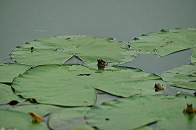 奇幻文字剧情佳作《零和之心》Switch版定档